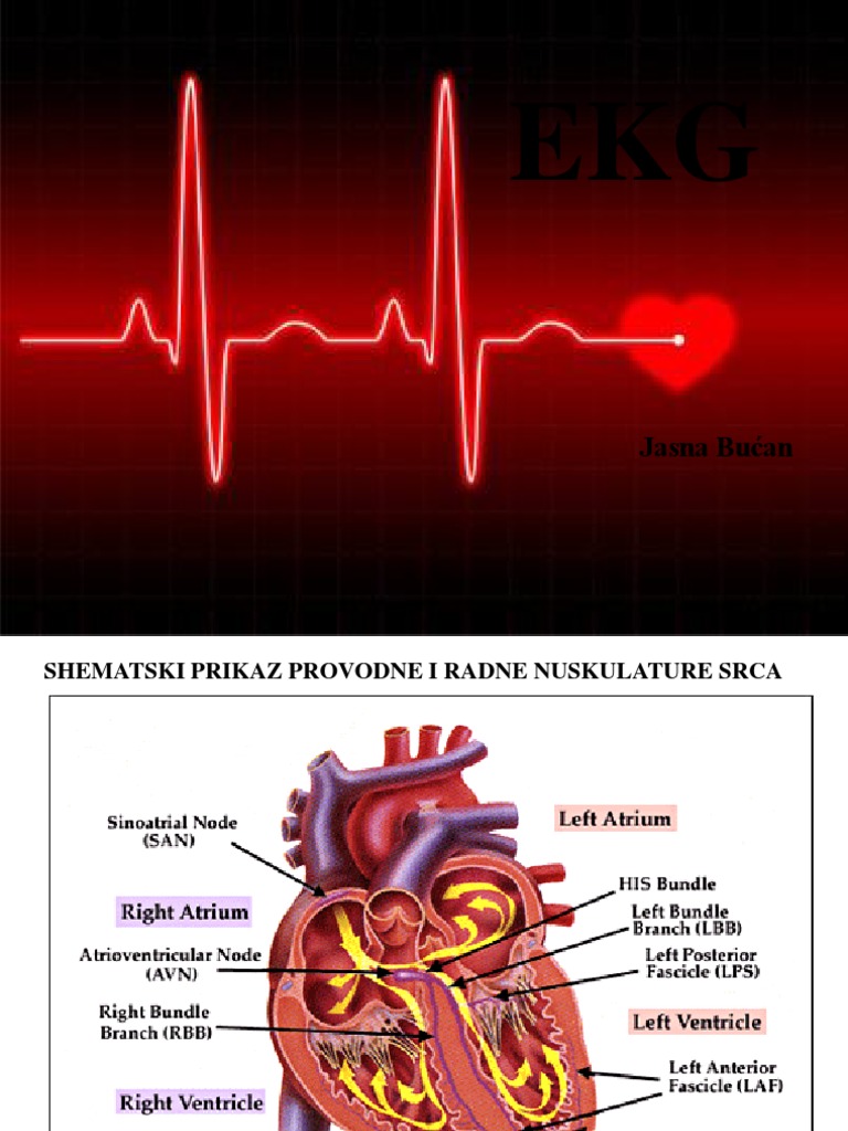 znakovi lijeve ventrikularne hipertonije vysoký krevní tlak 150/100